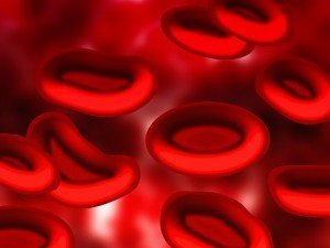 Red Blood Cells