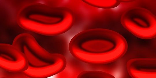 Blood cells