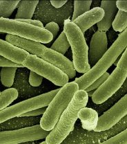 What’s all this fuss about antibiotic resistance? - Part 1