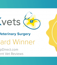 Best UK Vet 2018!