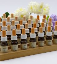 Homoeopathy is less likely to kill animals than refusing to take a pet to the vet