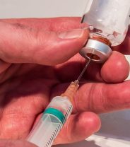 New research shows how vets can help tackle antibiotic resistance