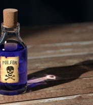 My dog’s eaten… is it poison?