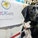 Dog and BUKV banner
