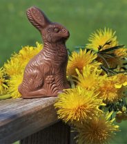 How to care for your Easter (chocolate) bunny