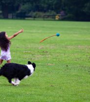 Children and pets - having fun, while staying safe