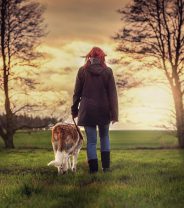 Does Walking The Dog Count As Exercise?