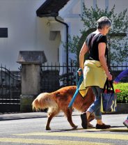 Back to School - But What About the Pets?