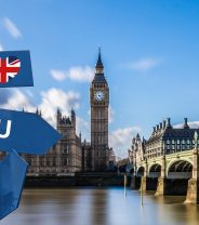 Temporary Animal Health Certificates will replace Pet Passports After Brexit. What this means for you and your pet
