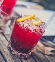 Fact vs Myth: Can I use Cranberry Juice for my Cat’s Cystitis?