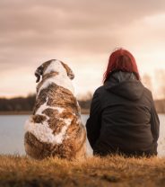 Do dogs think we are dogs? What we know about the Human-Dog bond