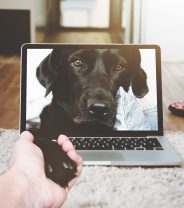 Who can you trust to give you good pet advice?