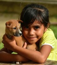 10 ways to care for your dog on a budget