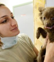 5 ways to minimise your pet's need for veterinary care