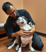 How to Build a Positive Relationship with your Vet