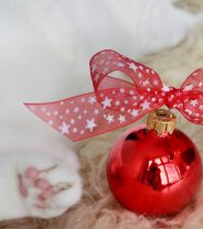 Cats, ribbons and tinsel... what's the problem?