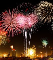 Should fireworks be banned for animal welfare? - Vet Panel