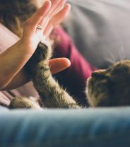 How our pets have helped us through this pandemic