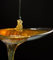 Is honey good for cuts in dogs?