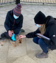 StreetVet Q&A - Ending the Choice of Pet OR Shelter for the Homeless