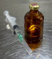 Do dogs need parvo vaccines and what is canine parvovirus?