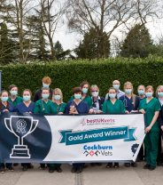 Best UK Vets 2021 Announced