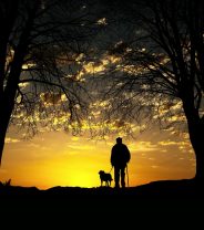 Dog Euthanasia – frequently asked questions