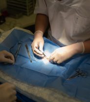 Why don't vets provide their own out of hours care anymore?
