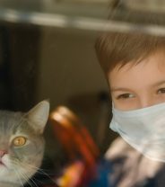 Is Covid really common in dogs and cats?