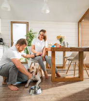 Is it OK to cook for my dog?
