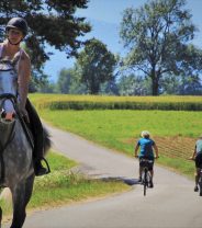 Do horses really need electrolytes?