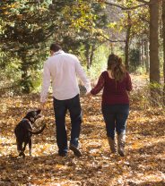 What is seasonal canine illness and is my dog at risk?
