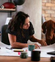 Is it possible to swap pet insurance?
