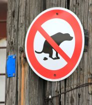 Why is it a Problem to Not Clean up After Your Dog?