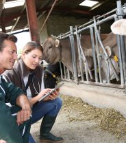 British vets are leading the way on antibiotic resistance