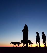 Year in Review: The trend towards multi-vet pets