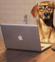 2021 in review – the year of telemedicine?