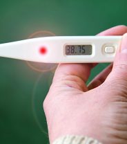 Here’s how to take a dog’s temperature