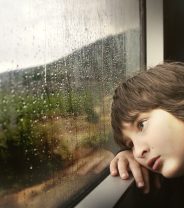 Talking to children about pet euthanasia: why language matters.