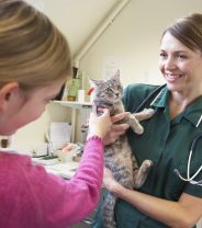When might your dog see a vet nurse not a vet?