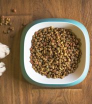 Is Kibble Really Safe?