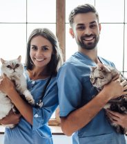 Do the RSPCA Have Vets for People to Use?