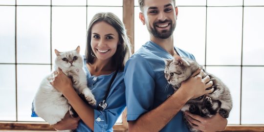2 vets holding pets