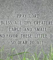 Cat Memorials - Five lovely ideas for ways to remember your beloved pet