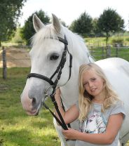 How much does it really cost to keep a pony?