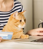The CMA Report and Veterinary Medicines 