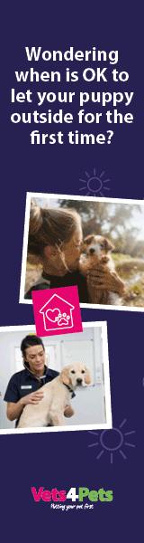 Vets4Pets Pet Advice