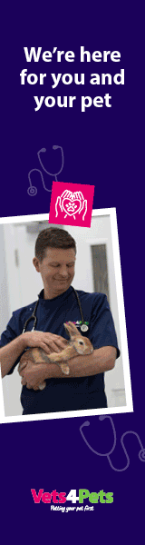 Vets4Pets Local Vet