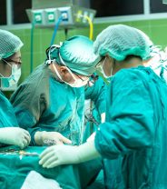 What Goes into the Cost of My Dog’s Surgery?