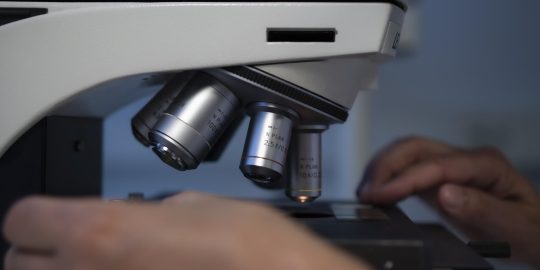 Examining slides under the microscope